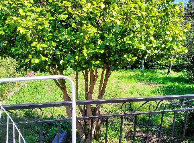 Villa Maison Individuelle Padulella *