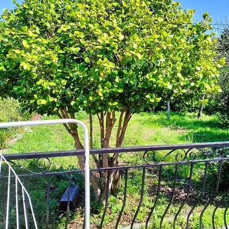 别墅 Maison Individuelle Padulella *
