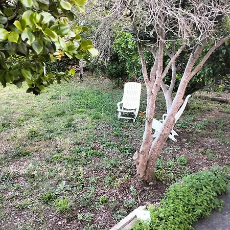 Maison Individuelle Padulella 别墅